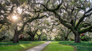 Photo of Brookgreen Gardens, One of the Prettiest Parks in Myrtle Beach SC.