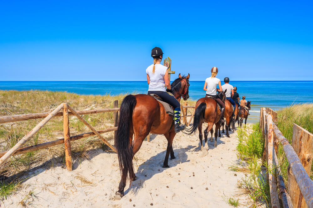 Photo of a Group of Tourists Horseback Riding near Myrtle Beach.