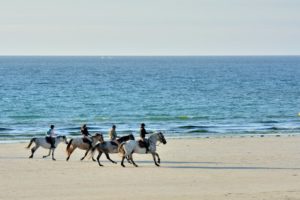 Photo of a Small Group Horseback Riding on Myrtle Beach.